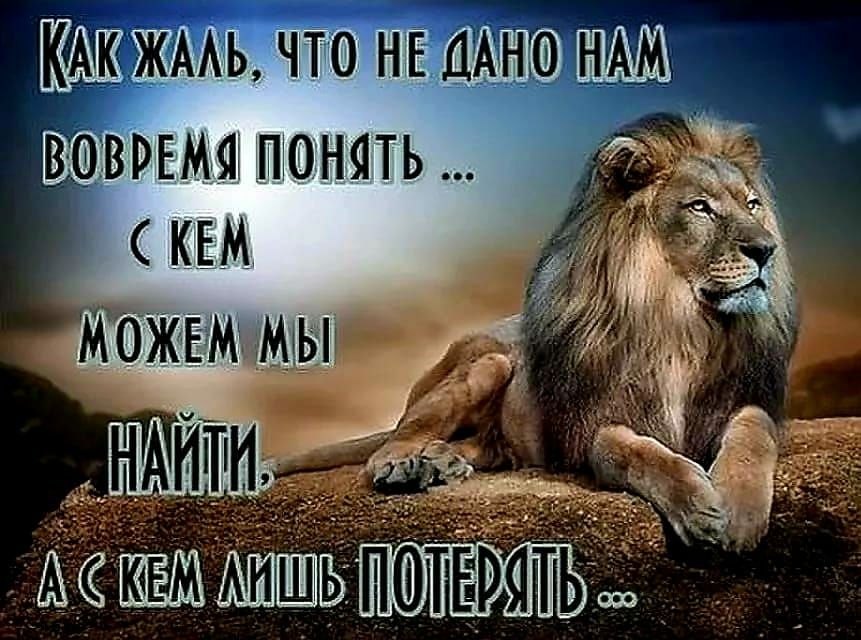 КАЮЖААЬ что НЕ мно нм_ Акт пи