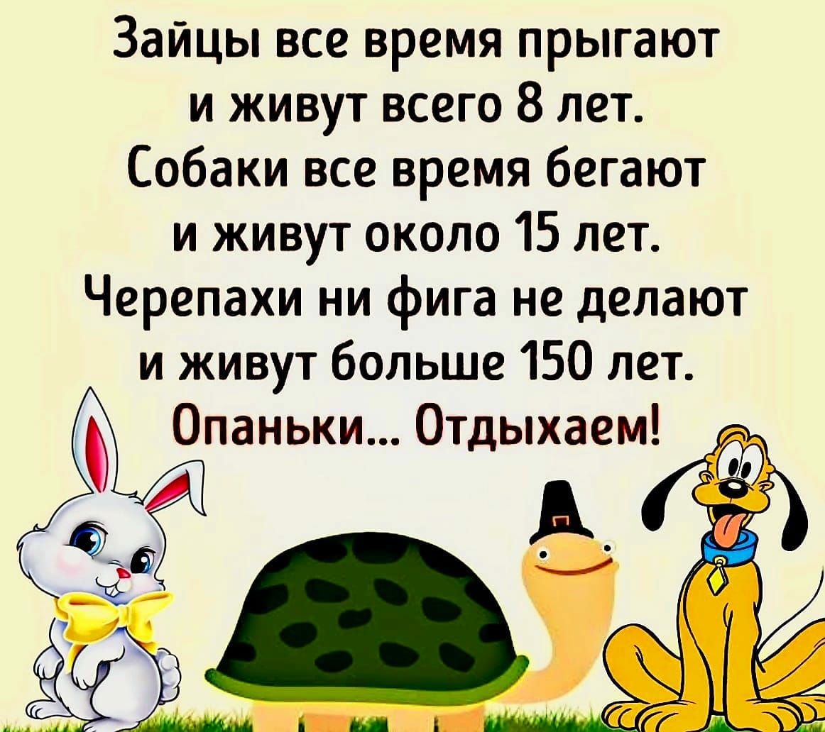 Зайцы все время прыгают и живут всего 8 лет Собаки все время бегают и живут около 15 лет Черепахи ни фига не делают и живут больше 150 лет 0паньки Отдыхаем А