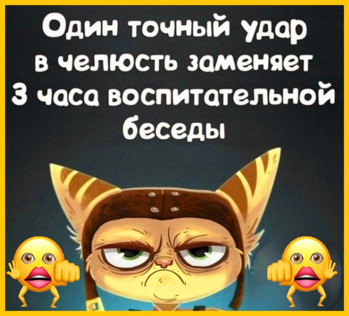 Один точный удар в челюсть заменяет 3 часа воспитательной беседы к