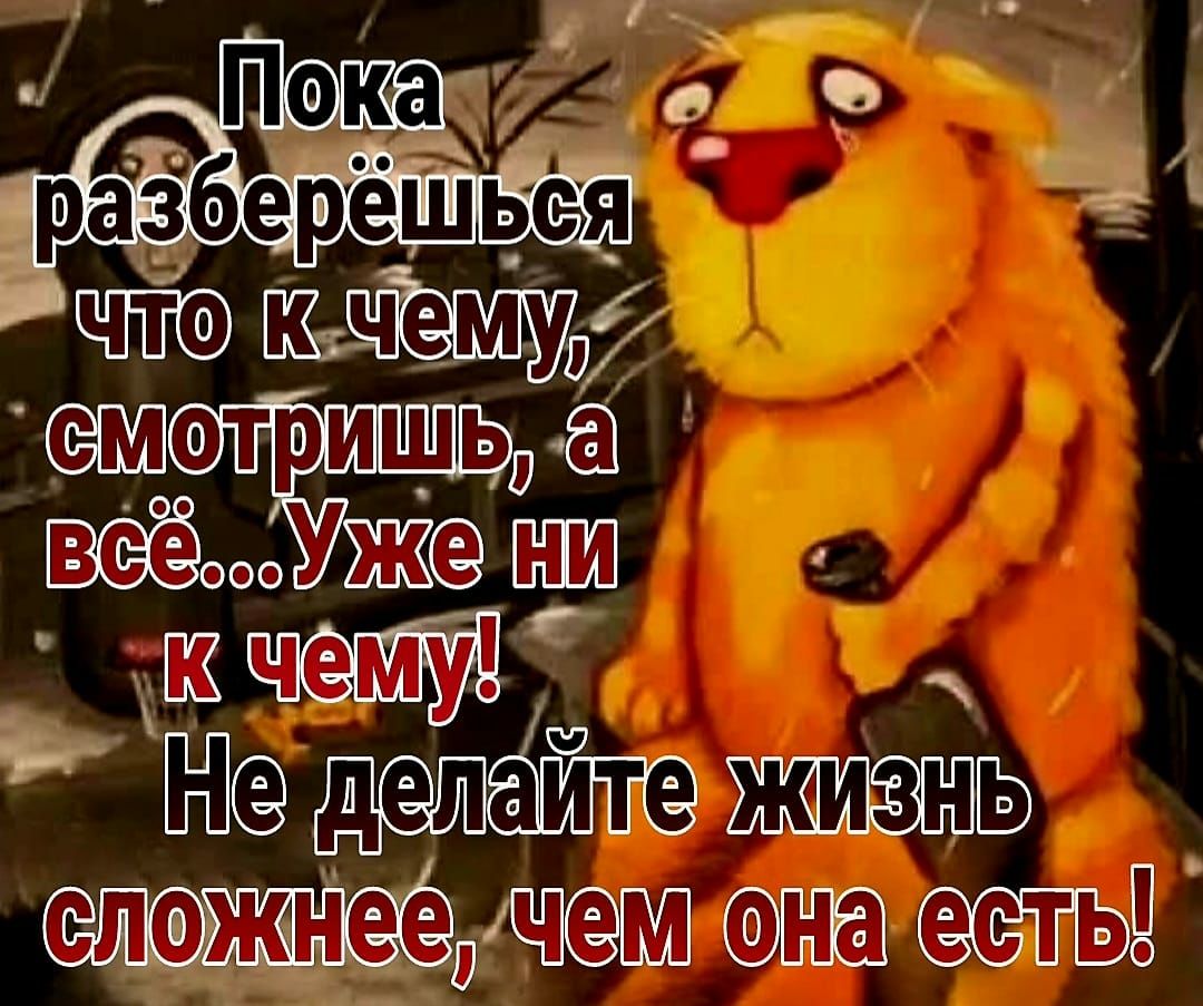 смотрищецё оат делаитеж иж