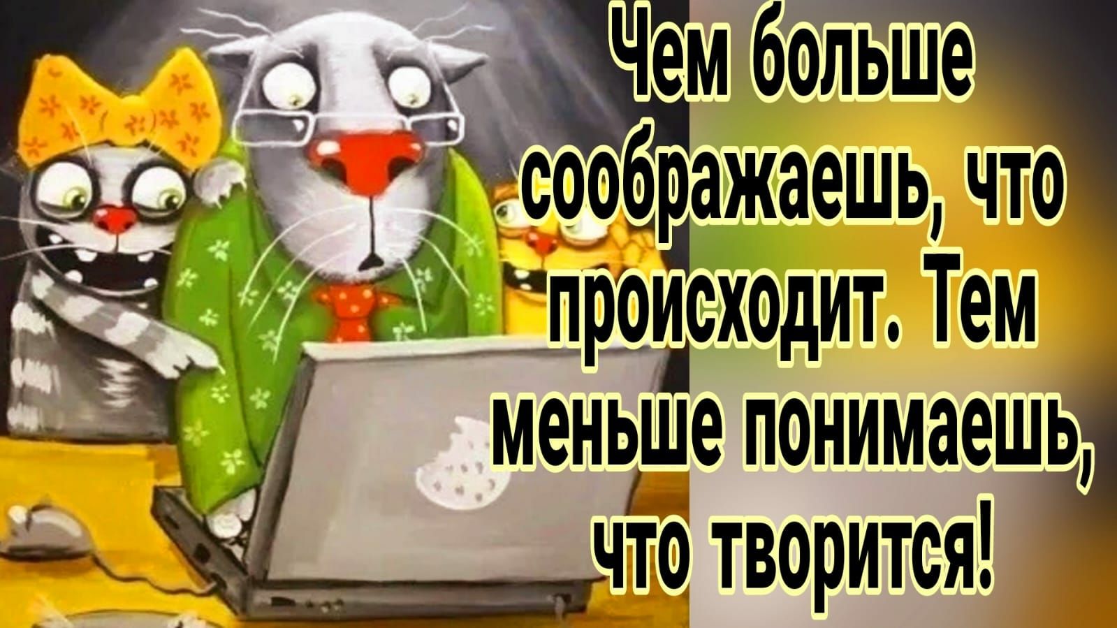 _ 6ражаешь что мы происходит Тем меньше понимаешь чщ творится _ 710 мбольше ___