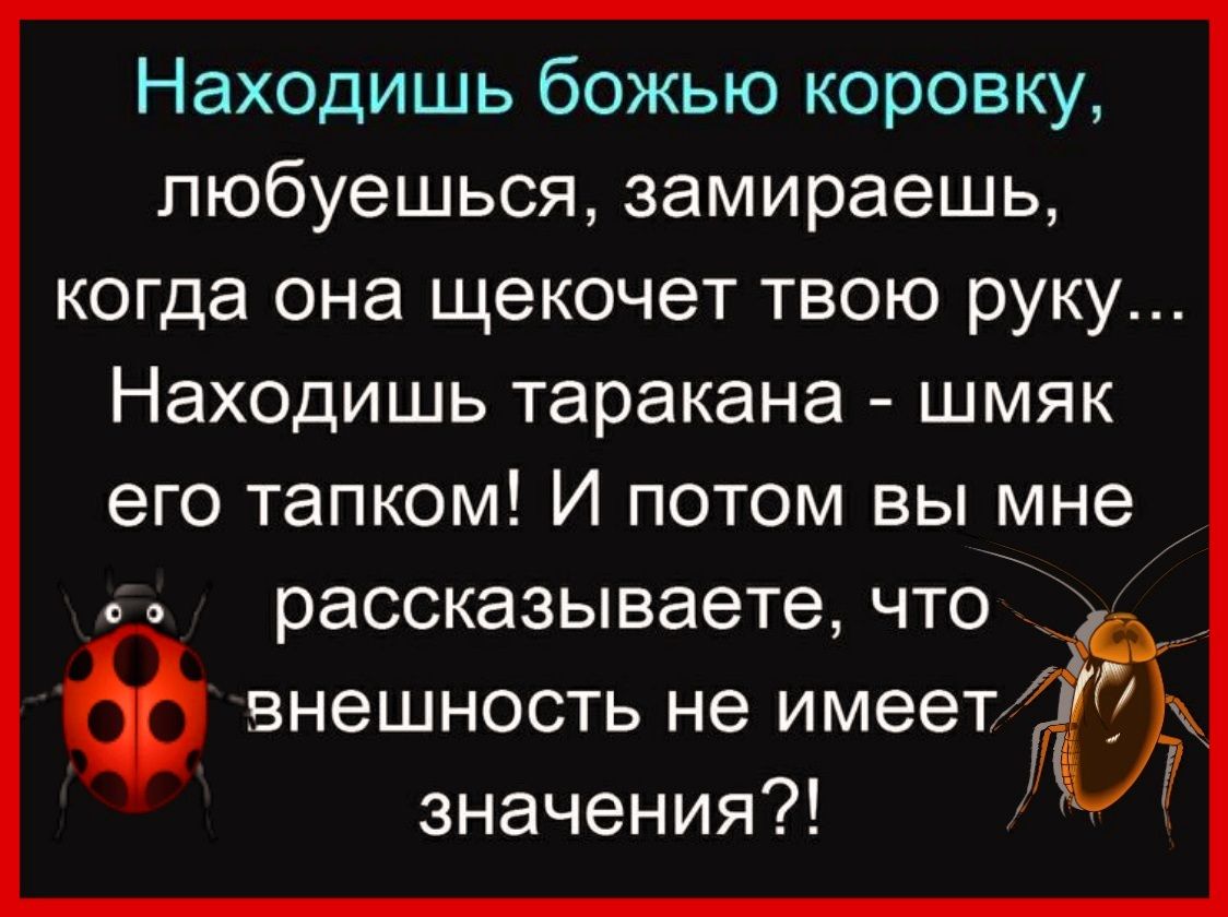 Находишь божью коровку пюбуешься замираешь когда она щекочет твою руку Находишь таракана шмяк его тапком И потом вы мне рассказываете что внешность не имеет значения