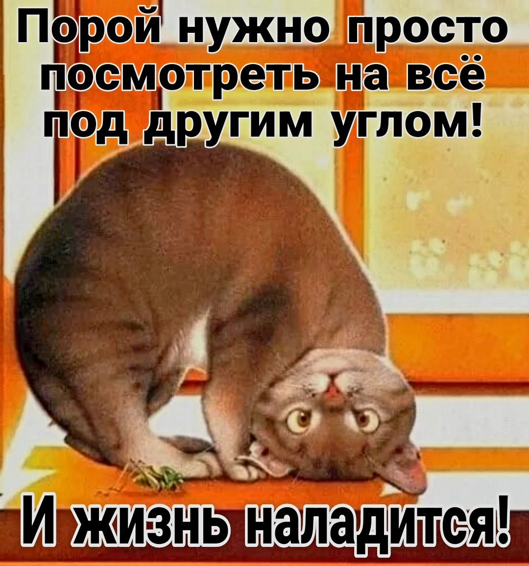 наладится