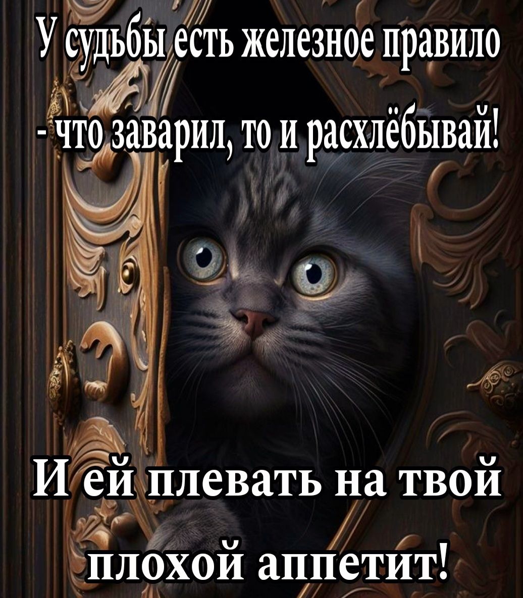 СТЬ ЖСЛСЗНОЁ ПРЗВИЛО рип то и расхлёбывай Ць о _ А _ Иёйыплевать на ТВОЙ ПЛОХОй аппетит