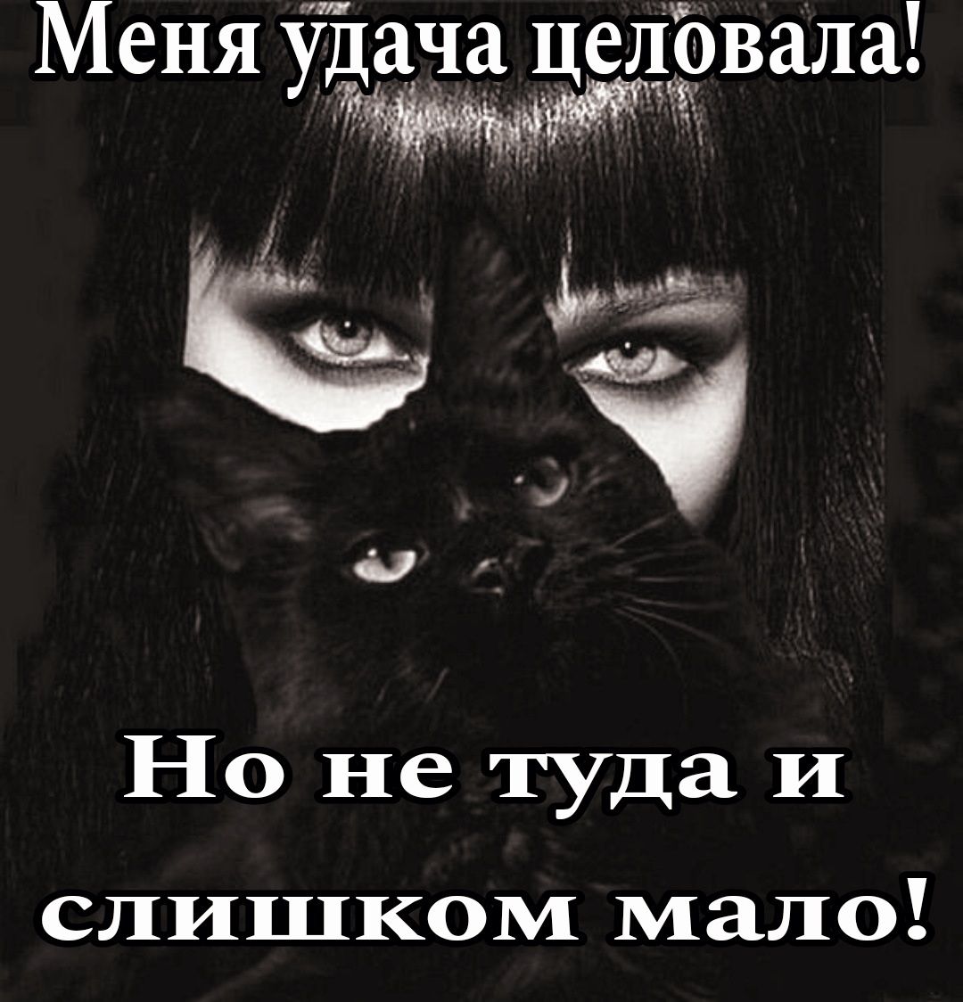 Меня удача целовала Но не туда И слишком мало
