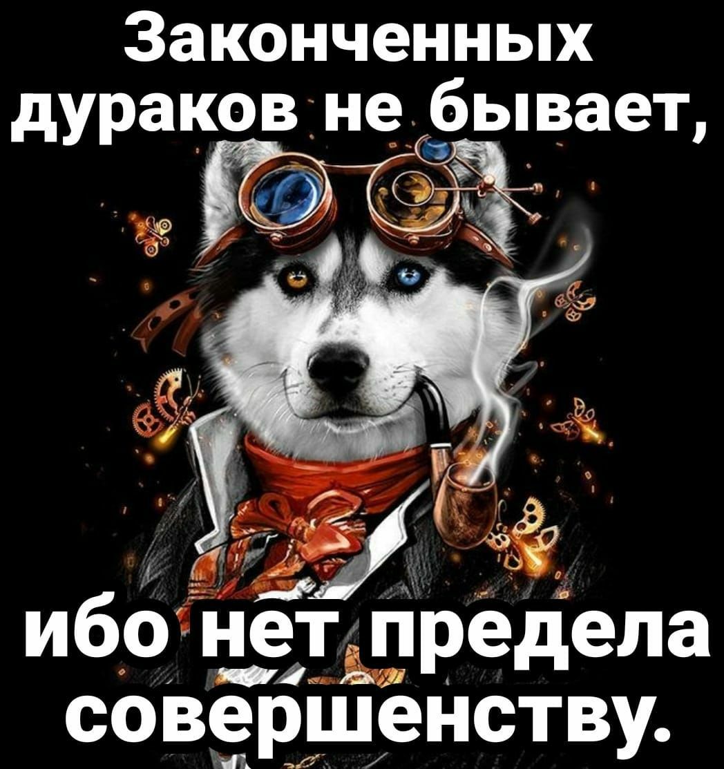 ЗаконченНЫХ дУракв Не бывает ибо нет Рёдепа ніч _