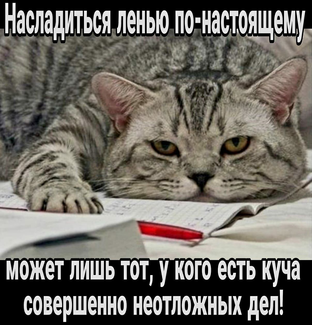МОЖОТ ЛИШЬ ТОТ У КОГО есть куча ООВОРШОННО НООТЛОЖНЫХ дел