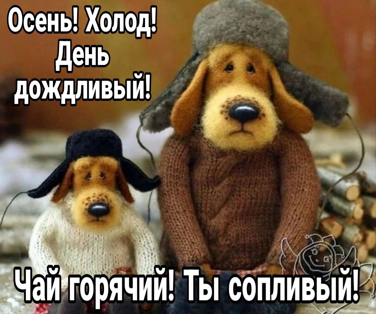 Осень Холод Ёб день дождлива РЕ ч д Ча_игорячии Ты сопливыиё