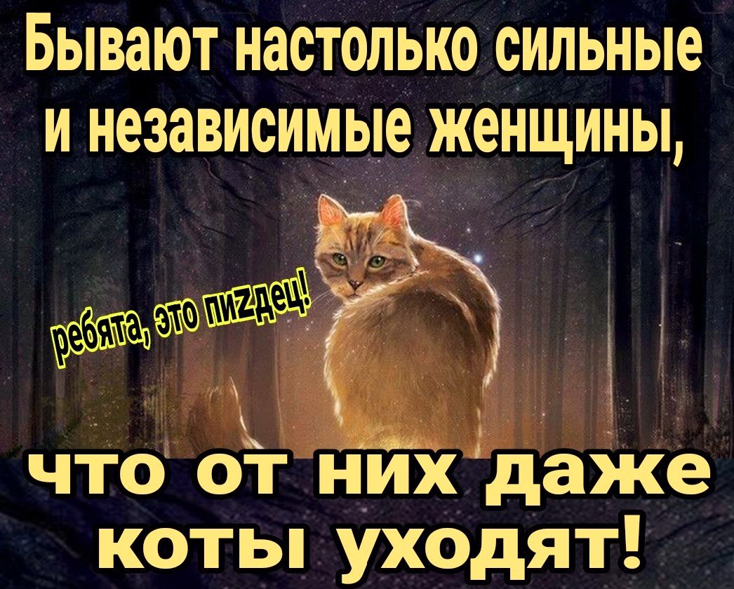 БЫВЗЮТ НЗСТОЛЫЮ СИЛЬНЫО И независимые ЖЕНЩИНЫ что от і іих даЖе коты уходят