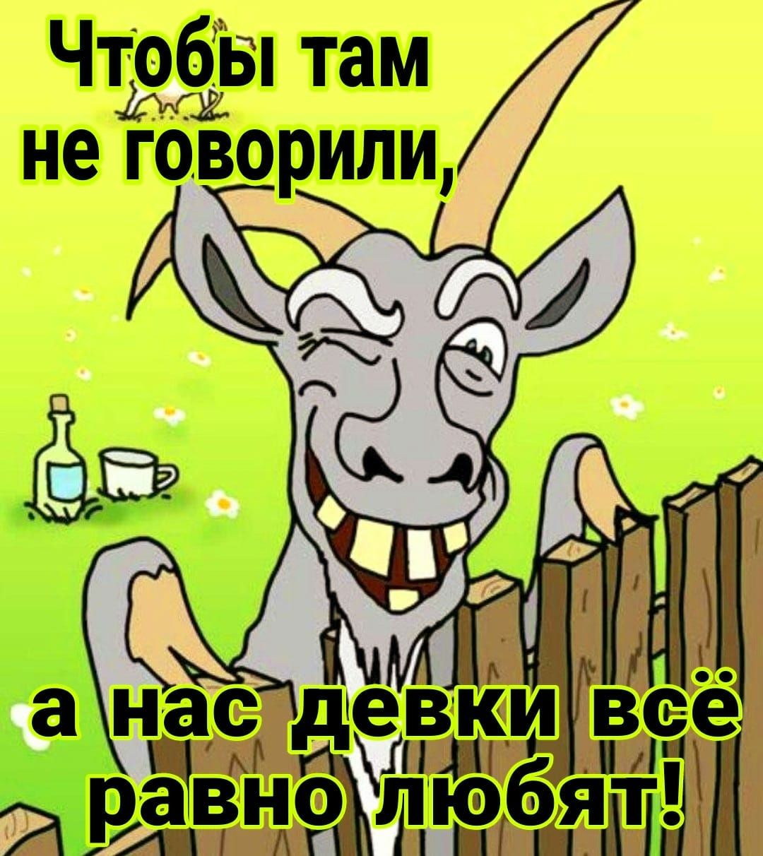 Чфёві том _ не гоорипи