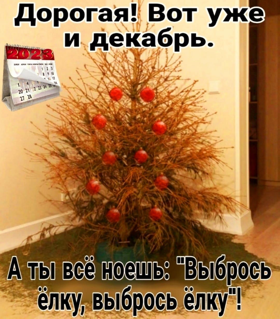 Дорогая Вот уже и декабрь