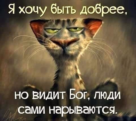 Я хочу быть добрее но видит Бог люди сами нарываются