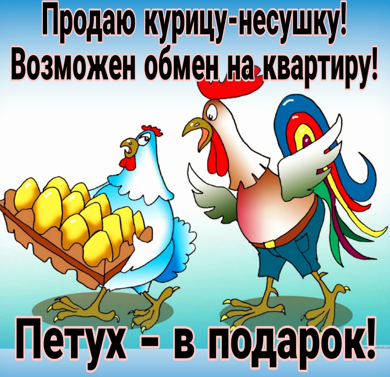 Продаю курицу несушку Возможен обмн _