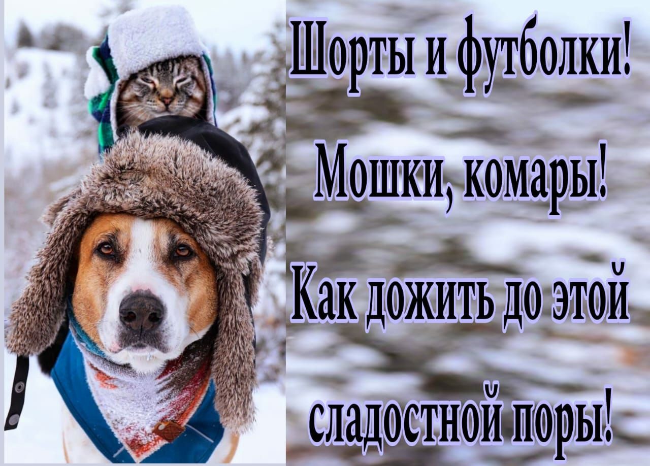 Шорты и фЁбОЁИ спадоттногдшэръъ