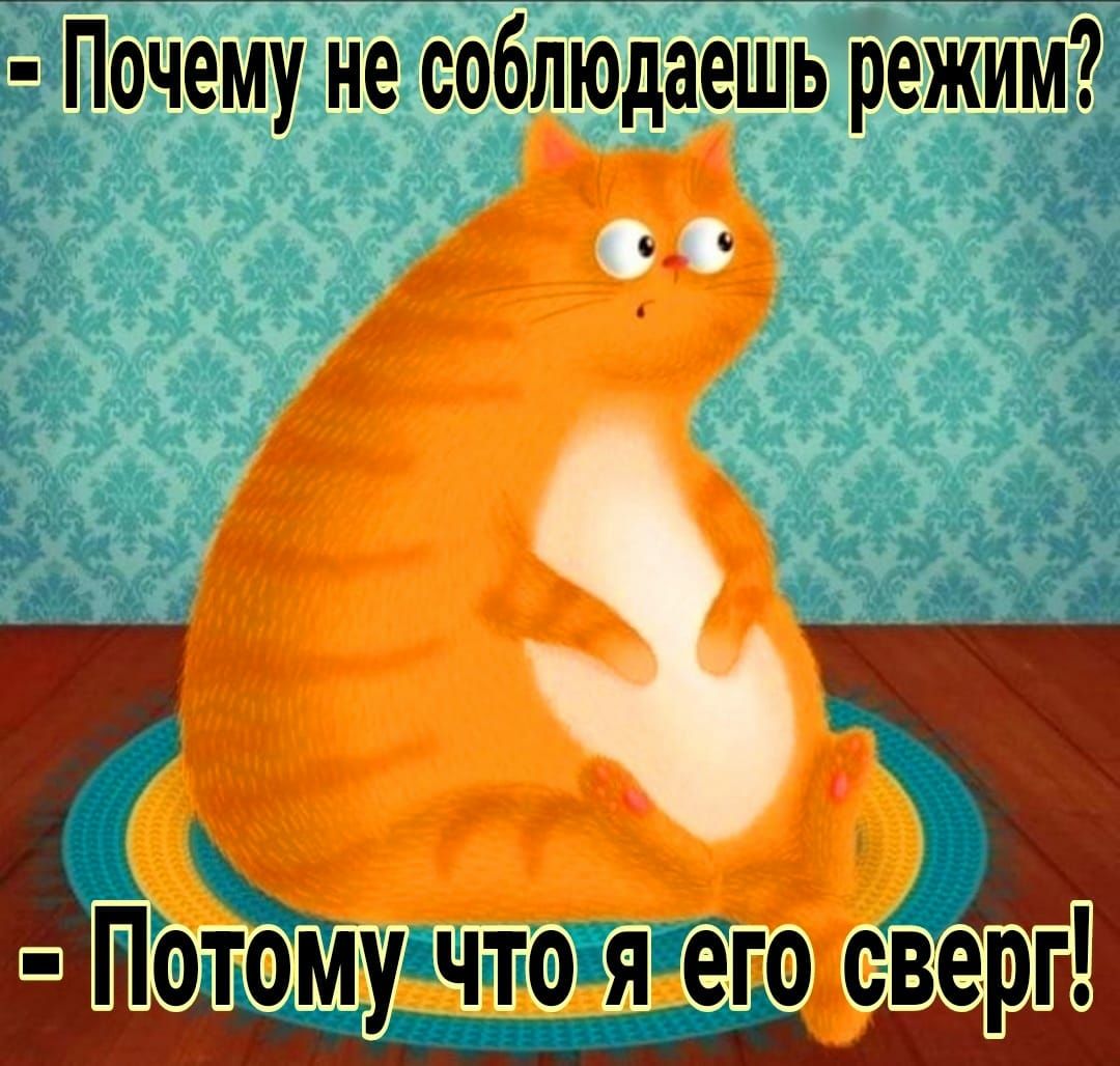 Почему не сбблюдаешь режййй _ д _ Потому что я егоюверг