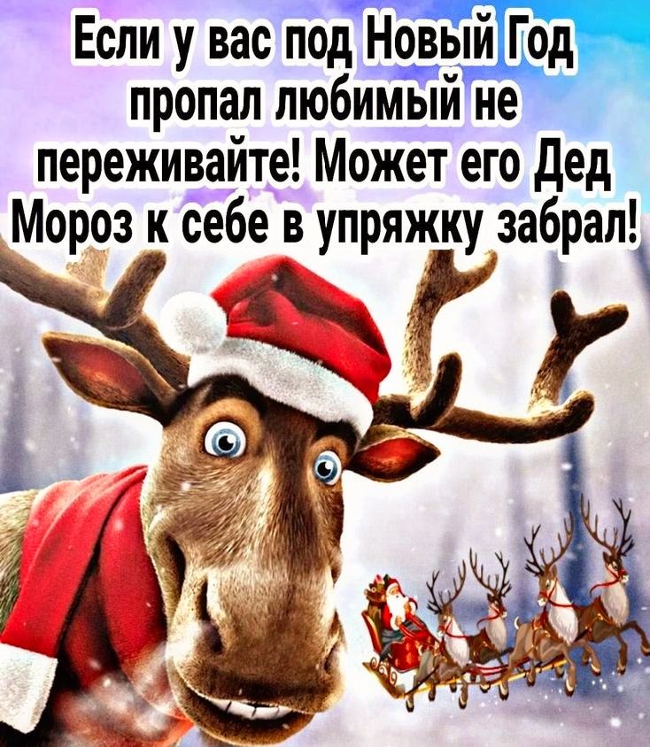 Если у вас под вНоь_й_ пропал любимЁій не переживайте Может его дед