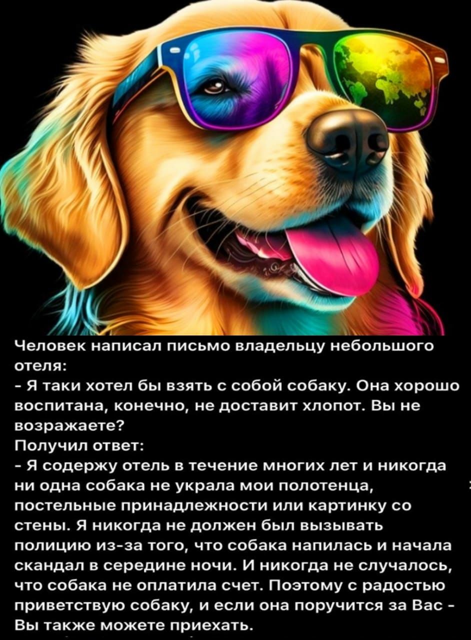Ь і Чада вк написал письмо плядвльцу иебопьшогп отеля _ я таки ются бы мать с собой собяку Она хорошо поспитана оиечис ие дпставит хлопот Вы не назв вета Получил ответ я содерху степь течеиив многих лет и никогда ни адиа собака не украла мои полотенца постельные принадлежности или картинку со стены я никогда не должен пыл вызывать полицию из за того что собака напилась и начала скандал в середине 