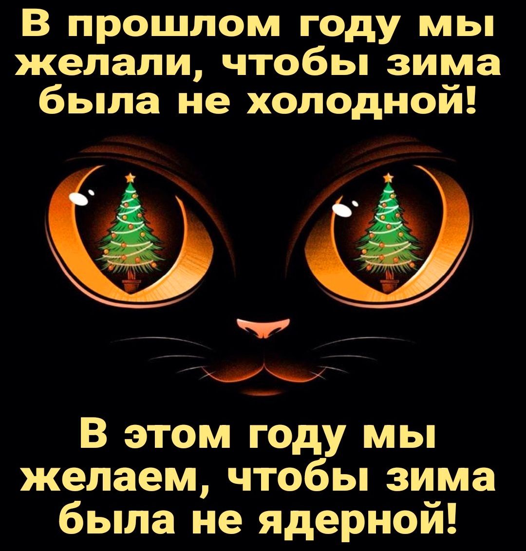 В прошлом году мы желали чтобы зима была не холодной В этом год мы желаем что ы зима была не ядернои