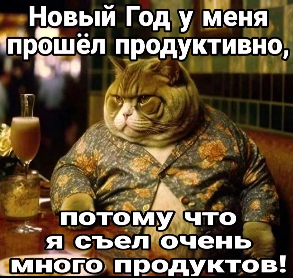 Цевый Год у йеня пірошёл продуктивно и И ПОТОМЧТО Я съеп очень __МНОДО ПРОДУКТОВ