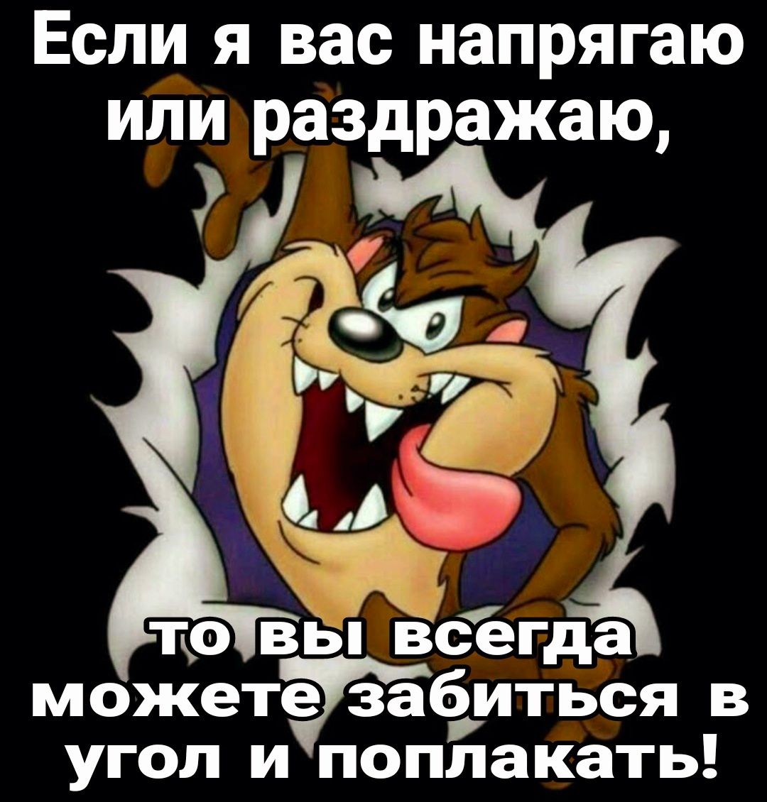 Если я вас напрягаю или раздражаю то вы всегда можете забиться в угол и поплакать