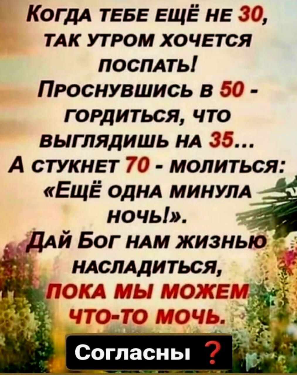 КОГДА ТЕБЕ ЕЩЁ НЕ 30 тдк утром хо ЧЕТСЯ посплть Проснувшись в 50 гордиться что выглядишь НА 35 А стукнет 70 молиться ЕЩЁ ОДНА минум ночь _ ДАЙ Бог нлм жизнью ндслддиться _ _ ПЭП15131 ЕС с то стоят __ Согласны