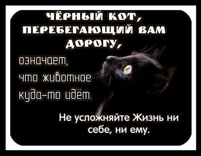 ч Ёрны іі квт ПЕРЕБЕРАШЩШЙ вши дшшгу означает п чтп жціюгпнпе кцВптп ыбегп Не услоіняйте Жизнь ни себе ни ему