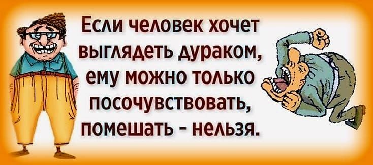 Если человек хочет выглядеть дураком М ему можно только г посочувствовать помешать неАьзя Т Е