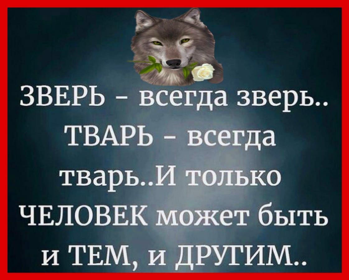 ЗВЕРЬ Всегда зверь ЧЕЛОВЕК 7