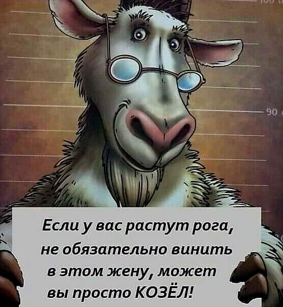 Если у вас растут рога не обязательно винить В этом жену может вы просто КОЗЕЛ