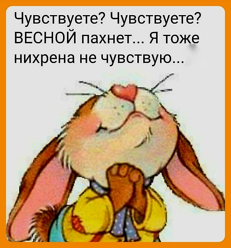 Чувствуете Чувствуете ВЕСНОЙ пахнет Я тоже нихрена не чувствую