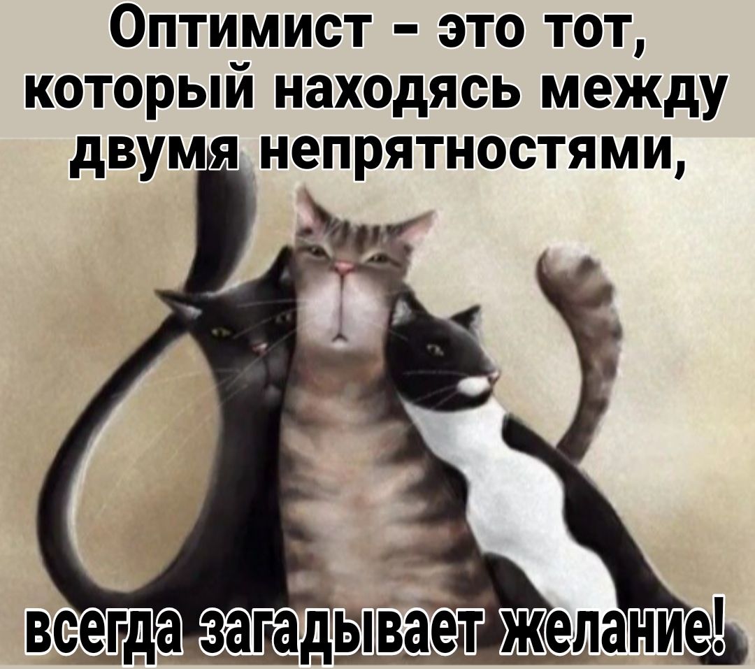 Оптимист это тот которыи находясь между двум непрятностями