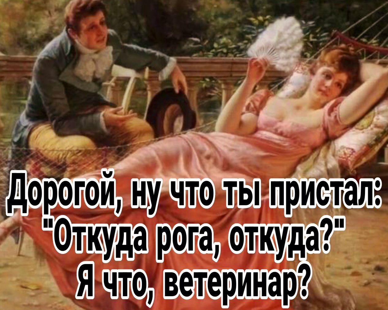 Фткудара аоткуда Шчт тветеринар