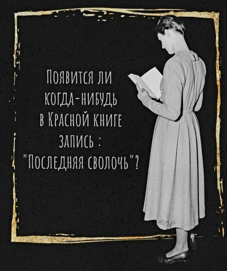 появится ли кшдА нивчдь вкшнои книгг здпись послшнян сволочь