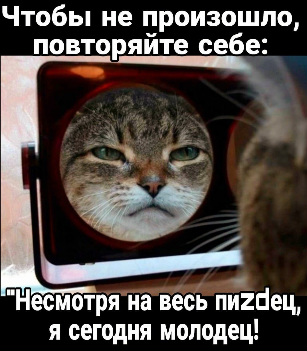 Чтобы не произошло повторяйте себе Несмотря на весь пи2с1ец я сегодня молодец