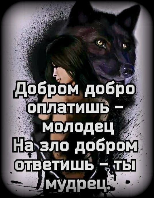 птветишь _ мудрец а