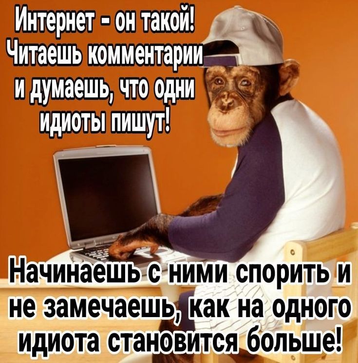 пд штото Начинаешьісними спорить и не замечаешакак на одного идиота статсд_больше