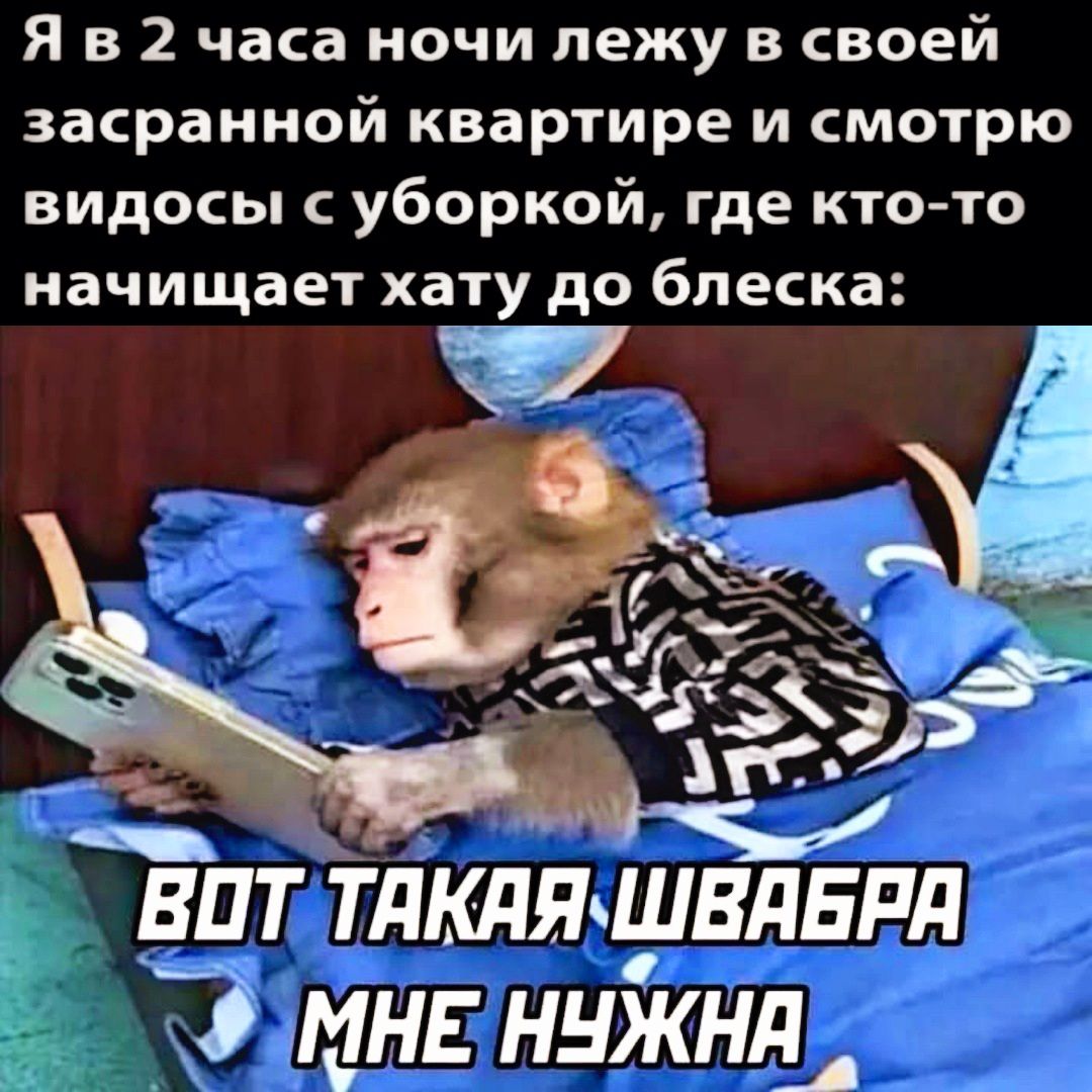 Я в 2 часа ночи лежу в своей засранной квартире и смотрю видосы уборкой где кто то начищает хату до блеска ВПТ ТдКдЯчШВдБРд мня ннкнд_