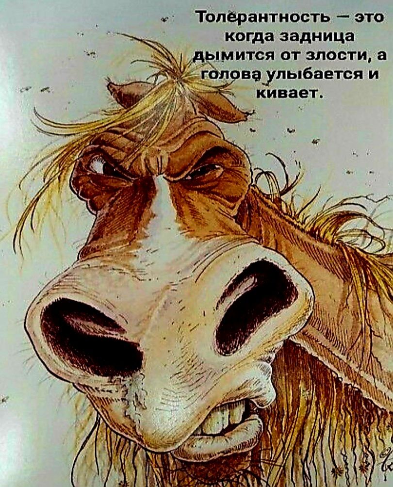 Топёраитиость эю когда задница ЬМИТСЯ ОТ ЗЛОСГИ а