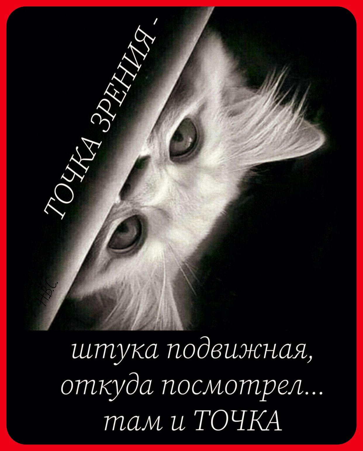 штука подвижная откуда посмотрел там и ТОЧКА