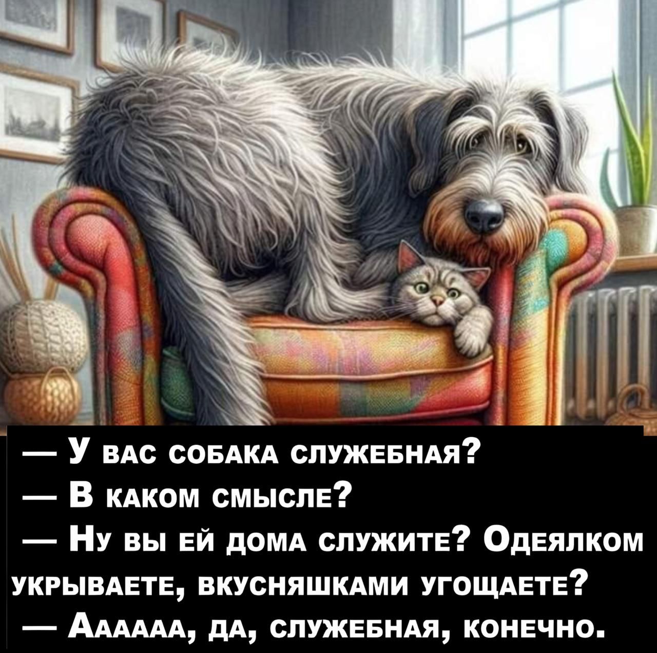 _ У ВАС СОБАКА СПУЖЕБНАЯ В кдком смысле Ну вы Ей домд служите Одеяпком укгындеты вкусняшкдми угощяетв Аммд дд спужввидя конечно