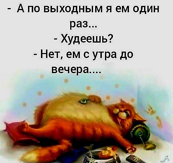 А по выходным я ем один раз Худеешь Нет ем с утра до вечера