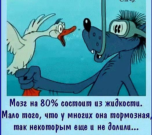 Мозг на 80 состоит из жидкости Мало того что у миошх ока тормозная так некоторым аш и по Волиш