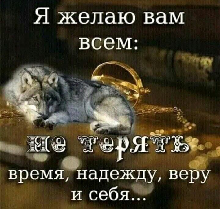 Я желаю вам всем _ЁКЗ ЁЁ время надежду вем и себя