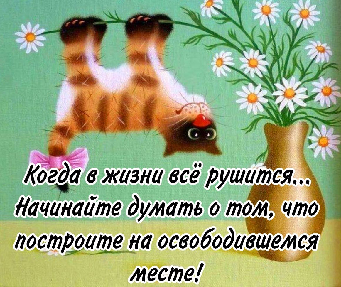 Когга в жизни всё рушатся Начинайте думать о том что лоспрушде на освободивщм месте 99