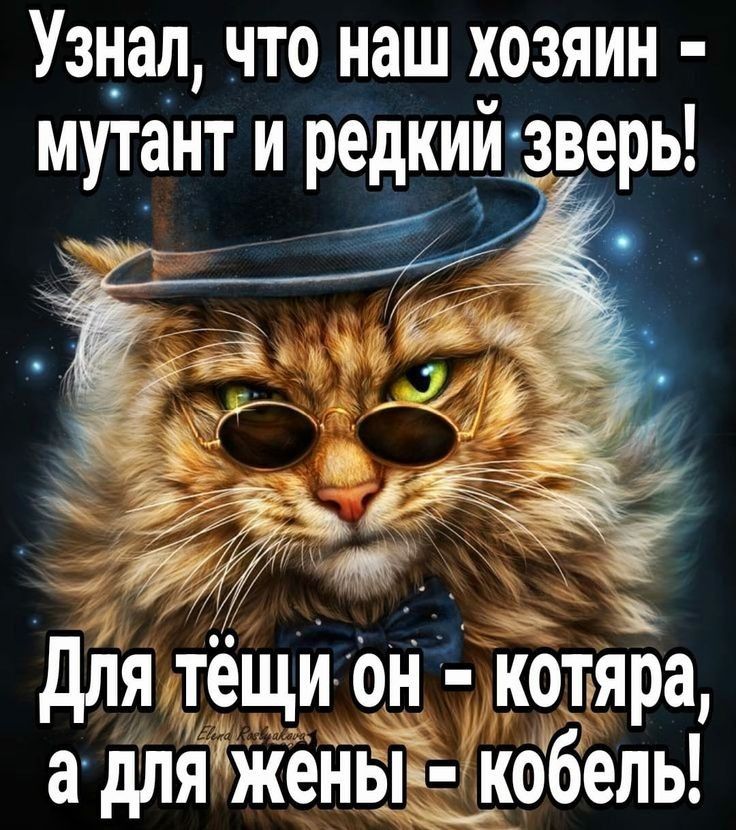 Узнал что наш хозяин мутант и редкий зверь для тещи он котяра а дляженвГ д кобель
