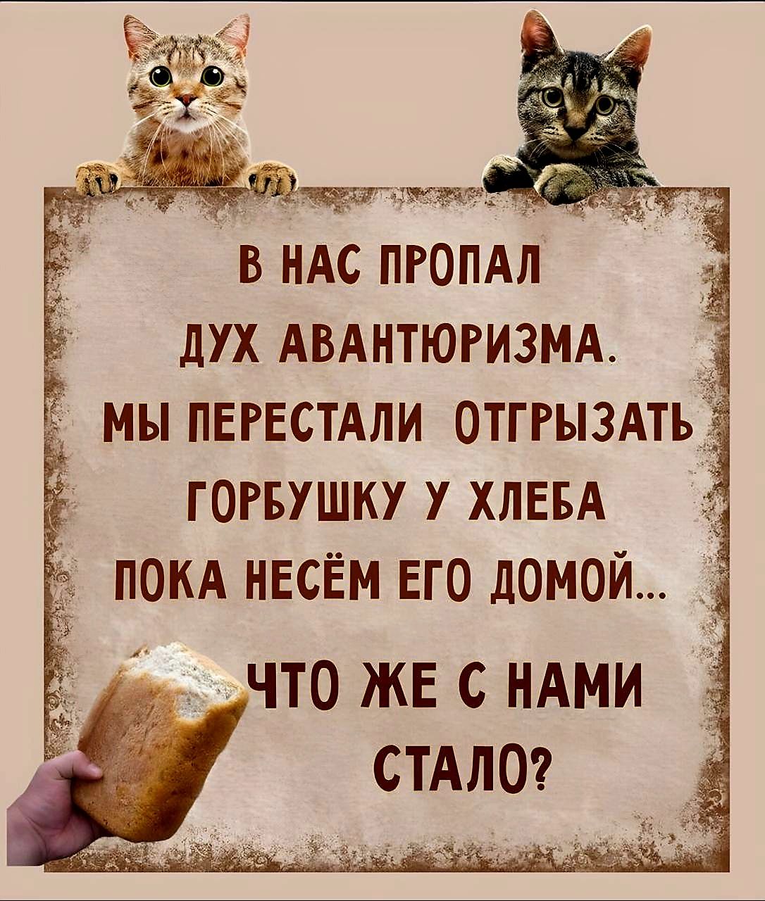 в НАС пгопдл дух Авднтюгизмд _ мы ПЕРЕСТАЛИ отггыздтьі гогвушку у ХЛЕБА покд несём его домой чтожвсндми СТАЛО