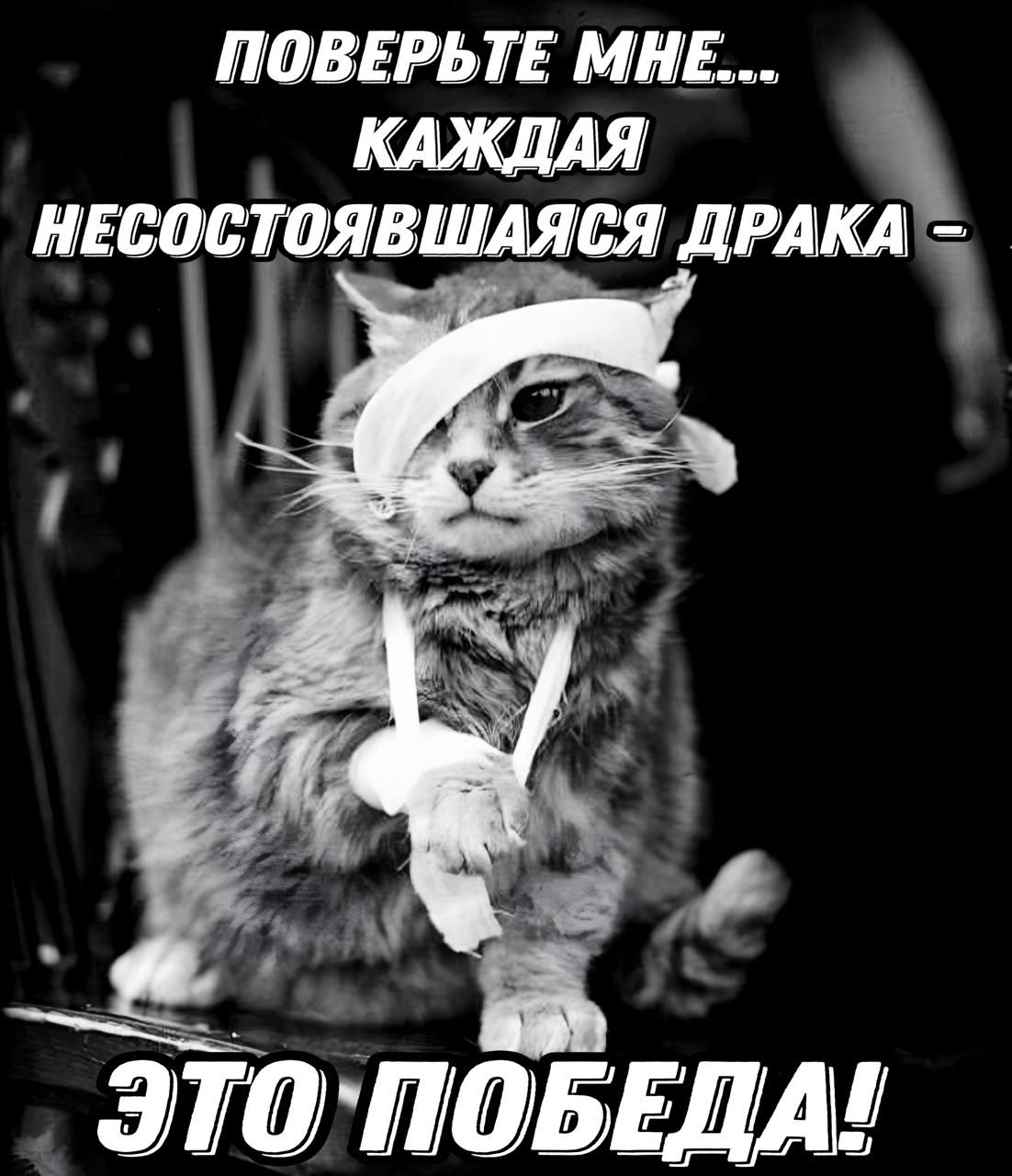 МЮВЕРЬТЕ ММБ М 3 ЭЮМБЫАд