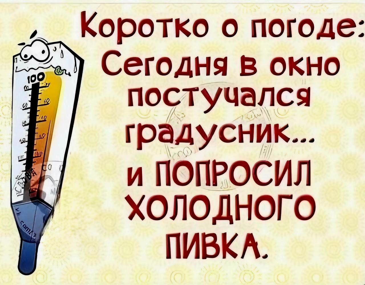 _ Коротко о погоде Сегодня в окно постучался градусник и ПОПРОСИЛ ХОЛОДНОГО ПИВКА