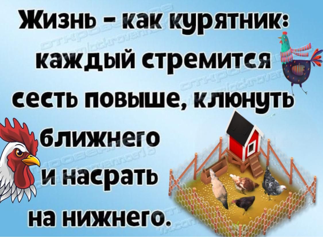 ЖИЗНЬ как КНРЯТНИК 4 5 каждый стремится сесть повыше плюнуть ближнего и насрать Ёна нижнего