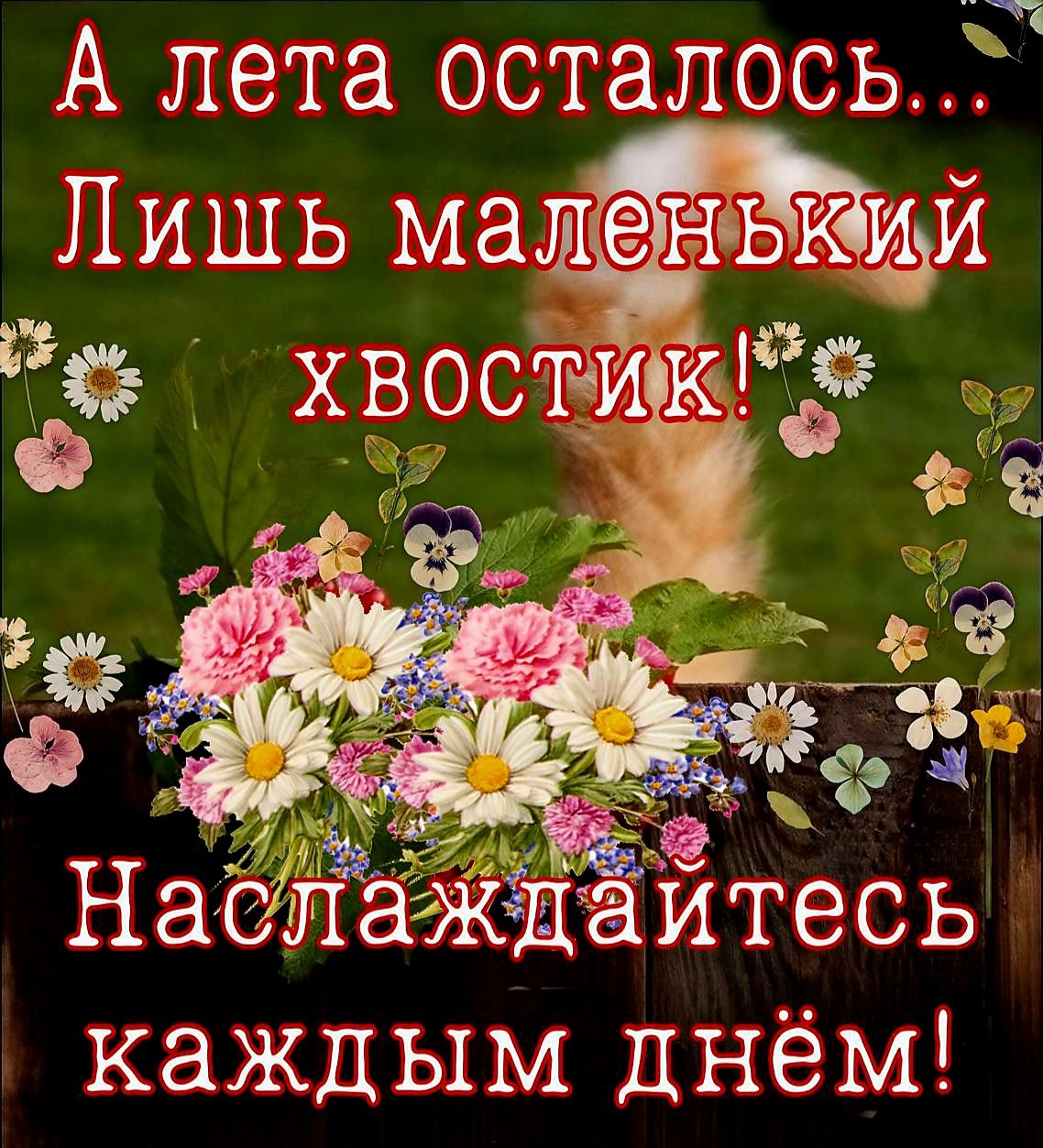 А лета осталосьЁ1 Лишь маленъкидй 3 д Ф ёё хврстик каждым днём